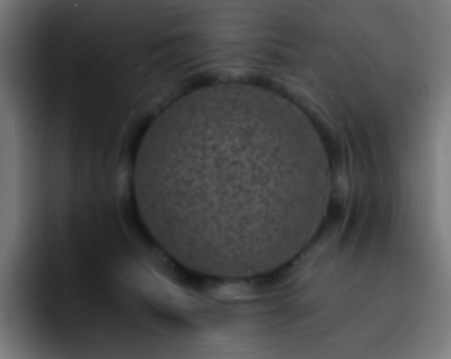 X0000093130468200710031355