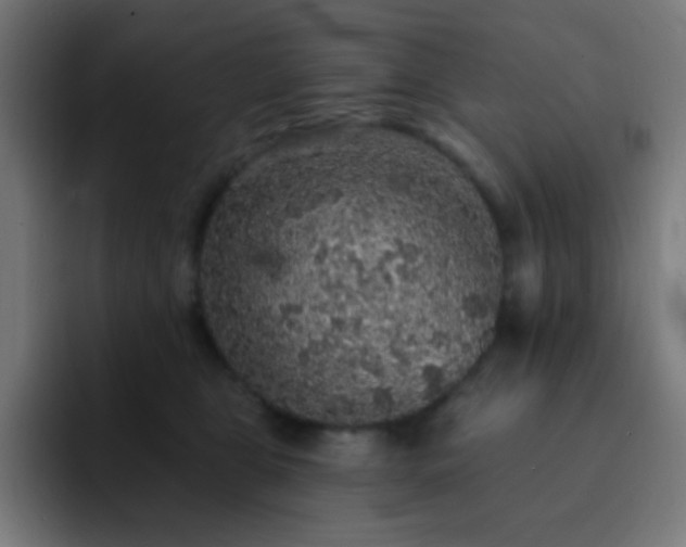 X0000093130469200710031355