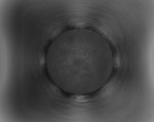 X0000093130472200710031355