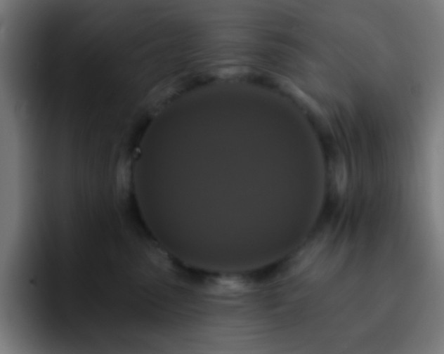X0000093130475200710031355