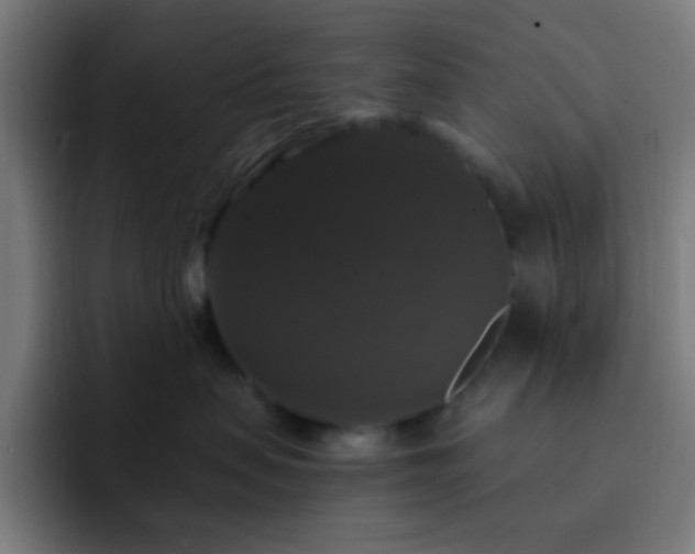X0000093130479200710031355