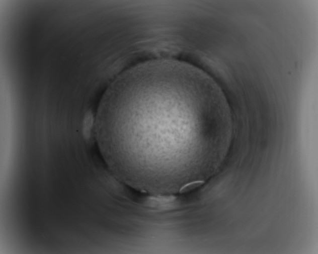 X0000093130480200710031355