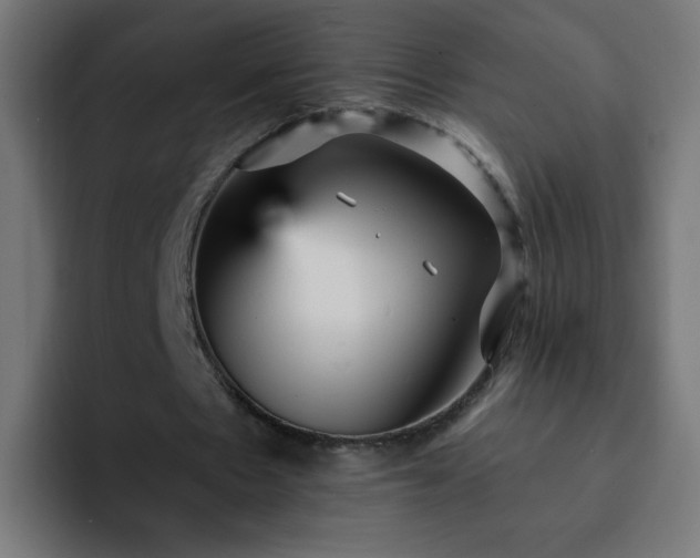X0000093130481200710031354