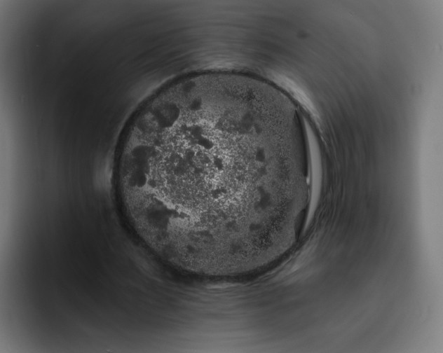 X0000093130483200710031354