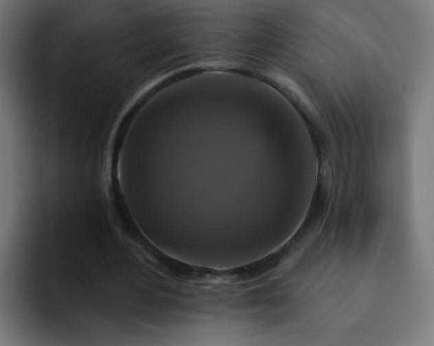 X0000093130484200710031354