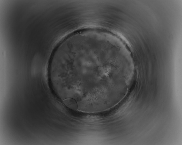 X0000093130487200710031354