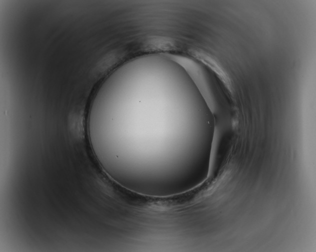 X0000093130489200710031354