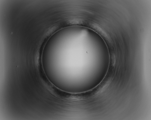 X0000093130490200710031354