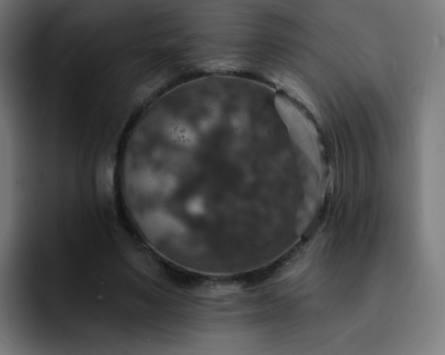 X0000093130491200710031354