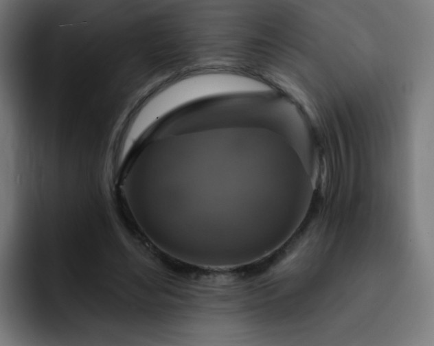 X0000093130492200710031354