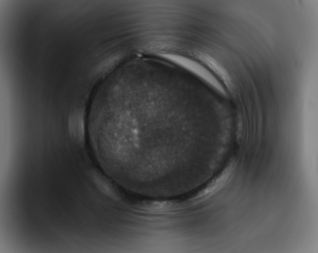 X0000093130493200710031354
