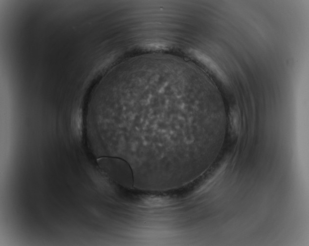 X0000093130494200710031354