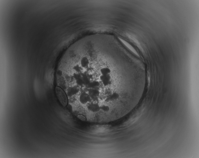 X0000093130495200710031354