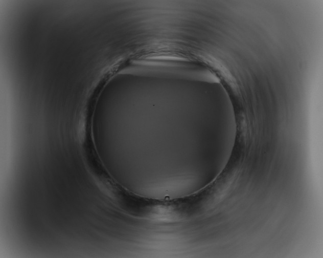 X0000093130496200710031354