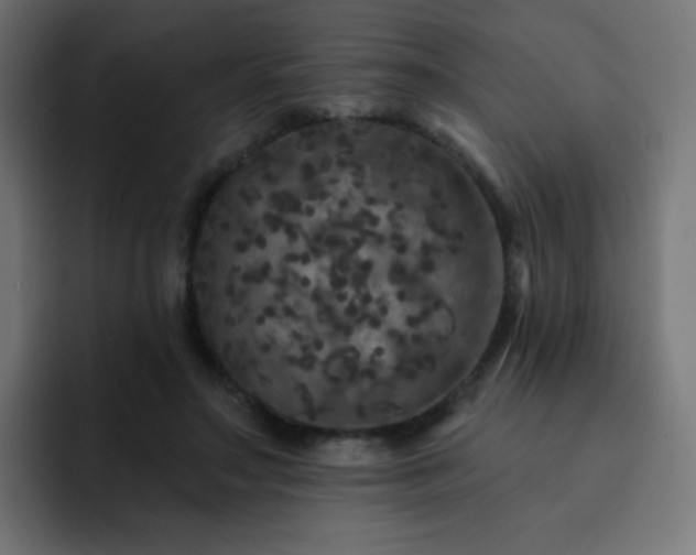 X0000093130499200710031354