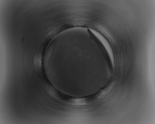 X0000093130501200710031354