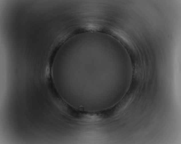 X0000093130502200710031354