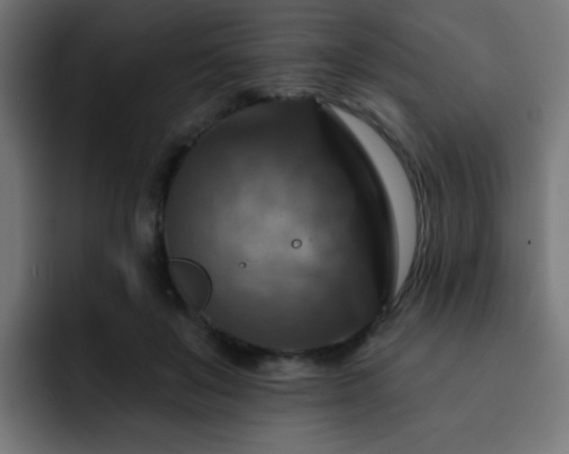 X0000093130503200710031354