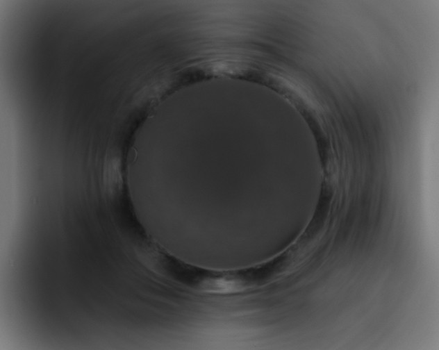 X0000093130506200710031354