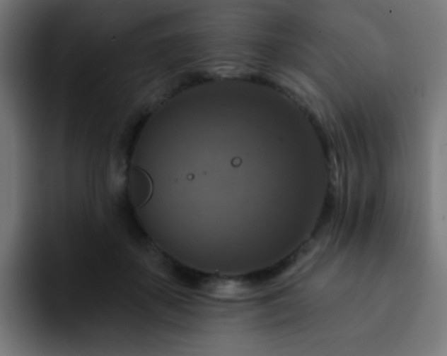 X0000093130507200710031354