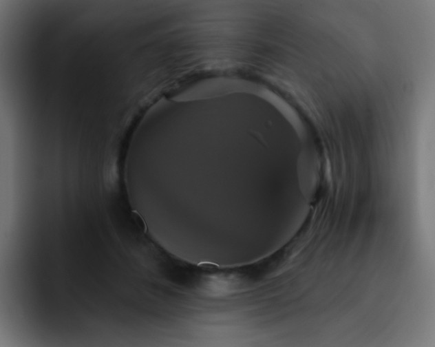 X0000093130508200710031354