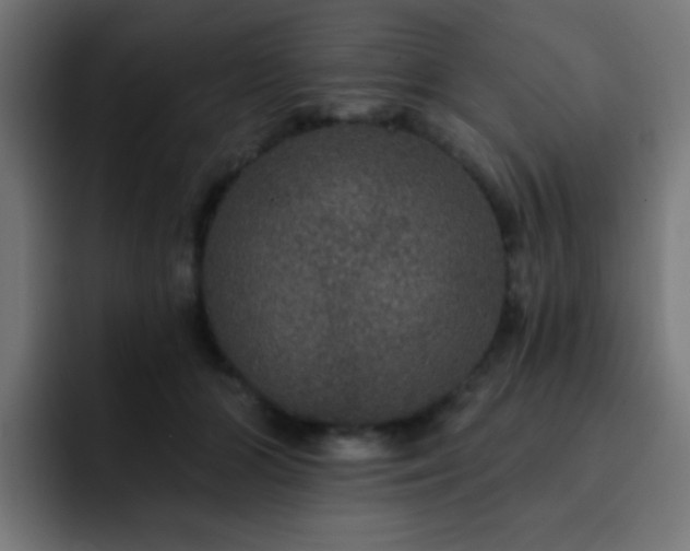 X0000093130510200710031354