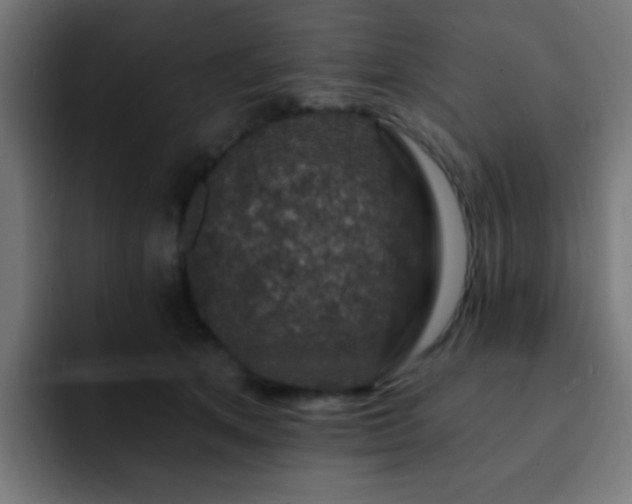 X0000093130513200710031354