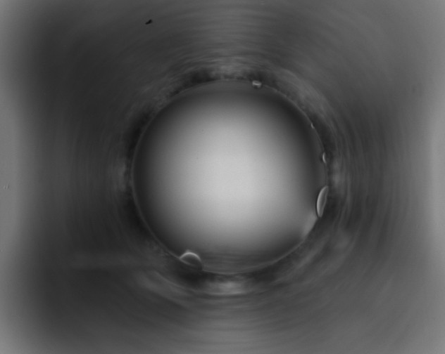 X0000093130514200710031354