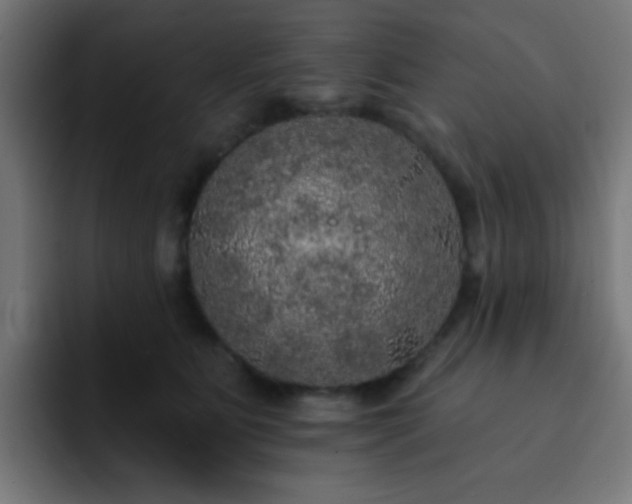 X0000093130515200710031354