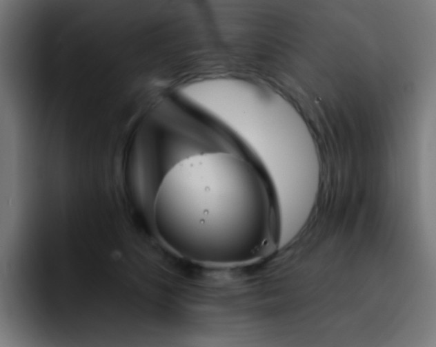 X0000093130516200710031354