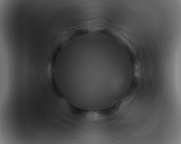 X0000093130519200710031354