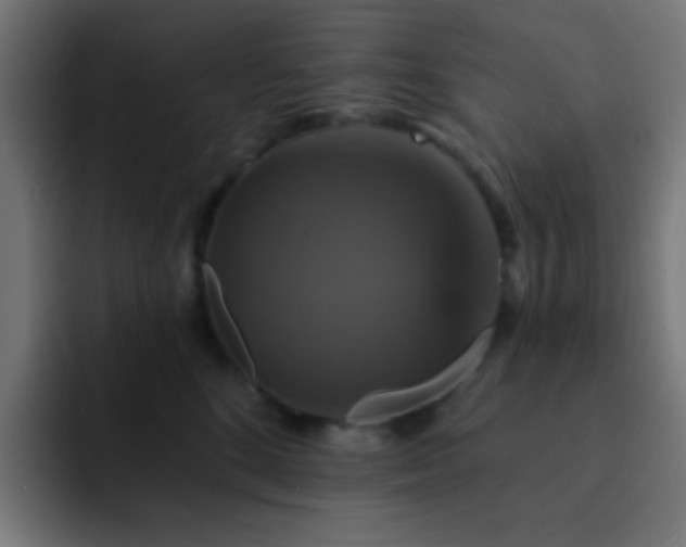 X0000093130520200710031354