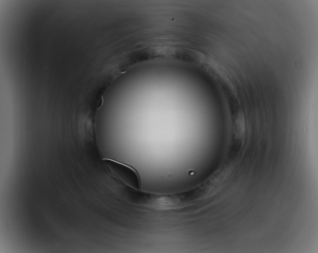 X0000093130522200710031354