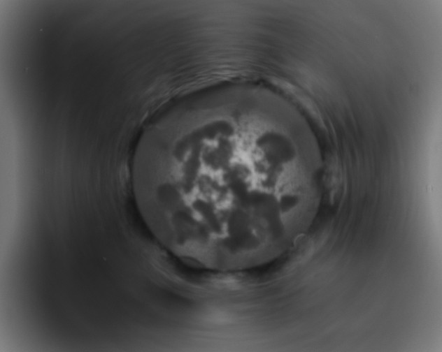 X0000093130523200710031354