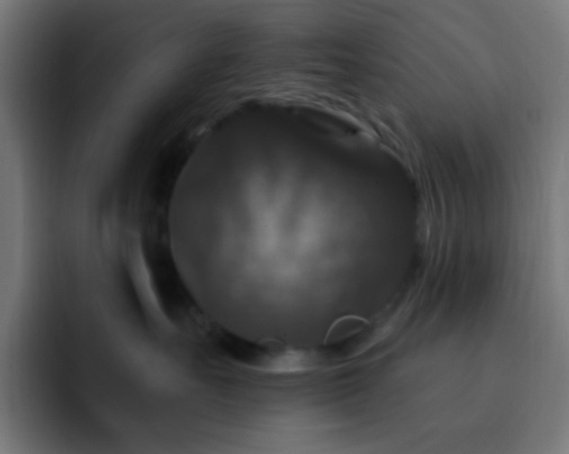 X0000093130527200710031354