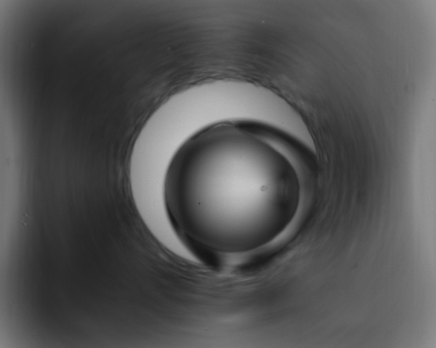 X0000093130528200710031354