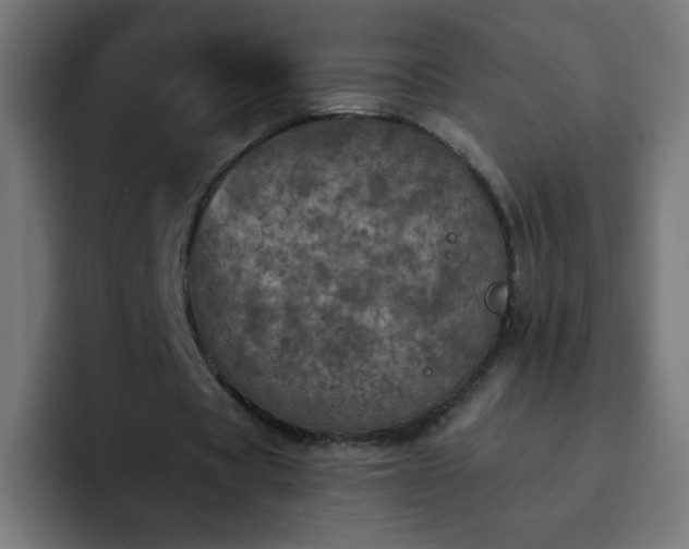 X0000093130529200710031353
