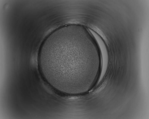 X0000093130530200710031353