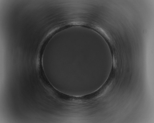 X0000093130531200710031353