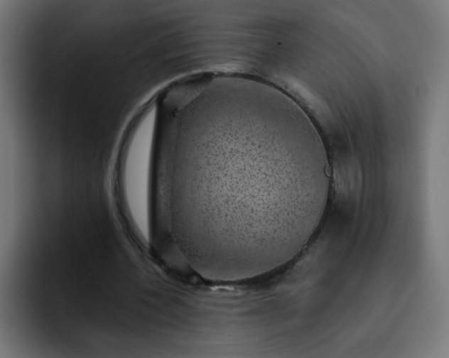 X0000093130532200710031353