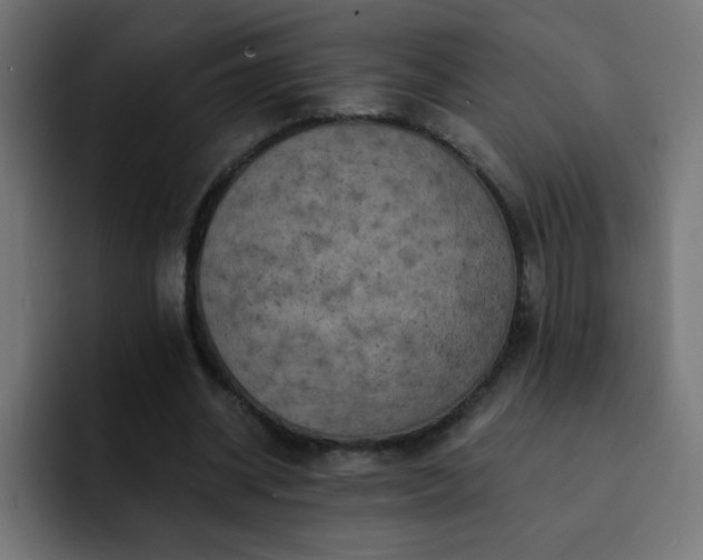 X0000093130534200710031353