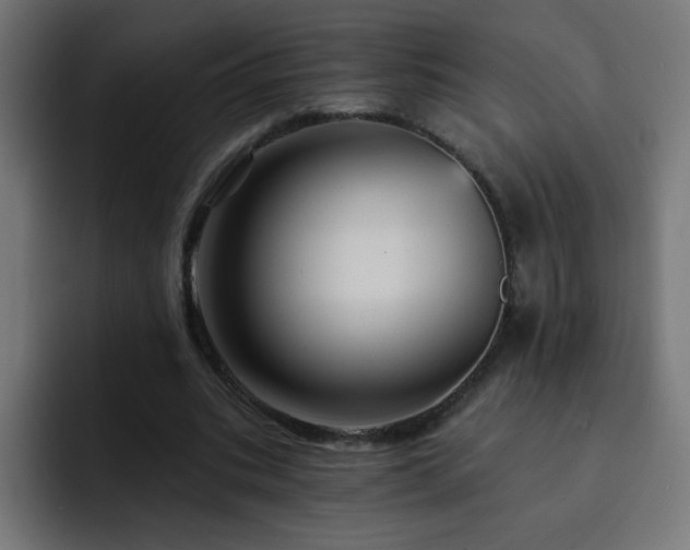 X0000093130535200710031353
