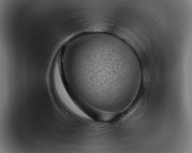 X0000093130536200710031353