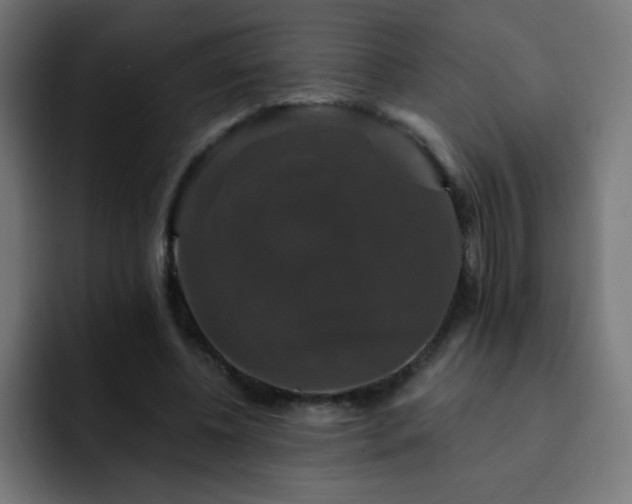 X0000093130540200710031353