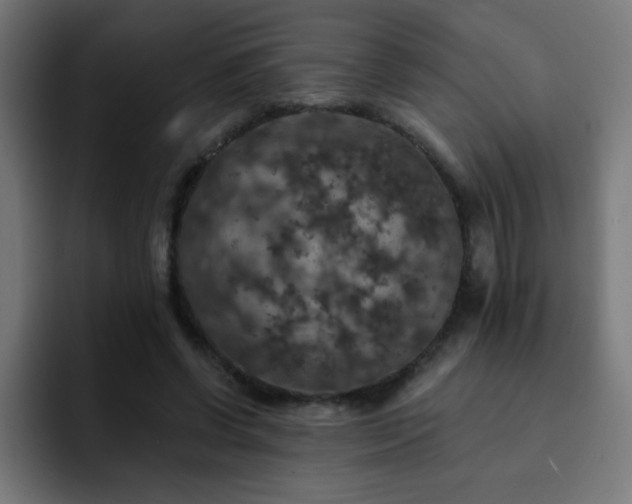 X0000093130542200710031353