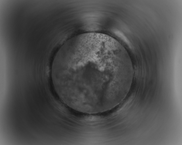 X0000093130549200710031353