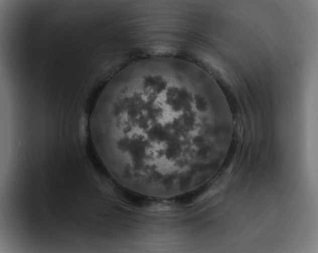 X0000093130550200710031353