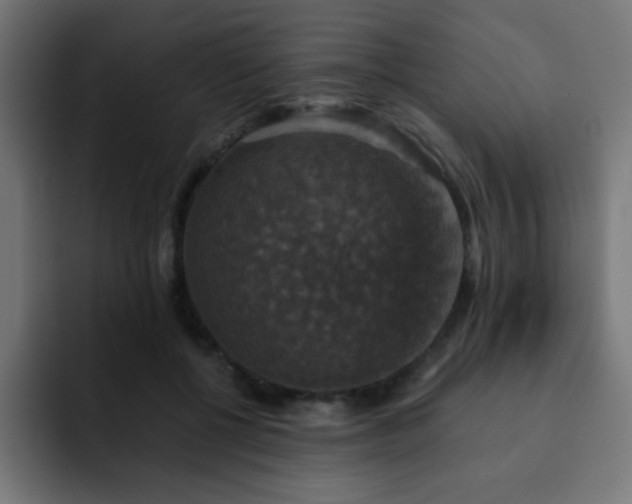X0000093130552200710031354