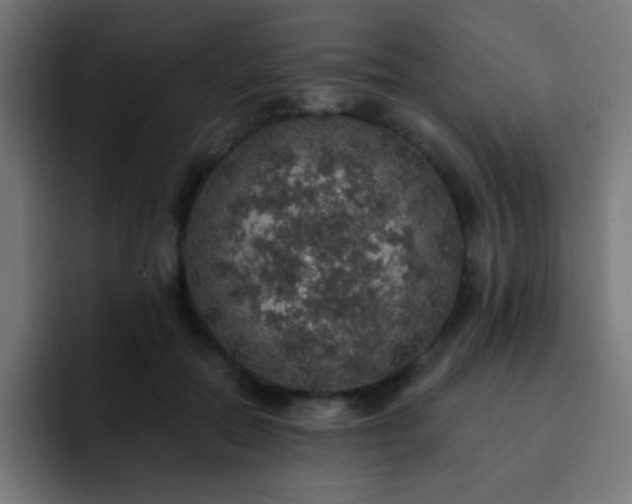 X0000093130554200710031354