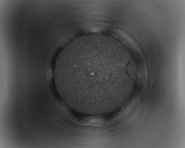 X0000093130555200710031354
